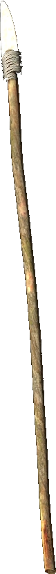 Bone variant