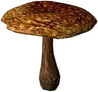 Fly Amanita (Baked)
