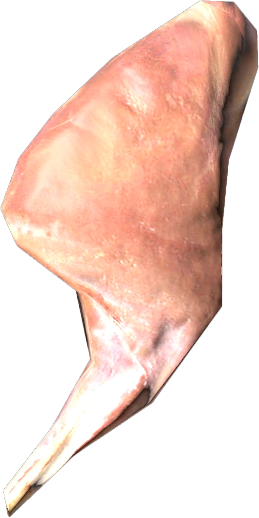 Hare Leg