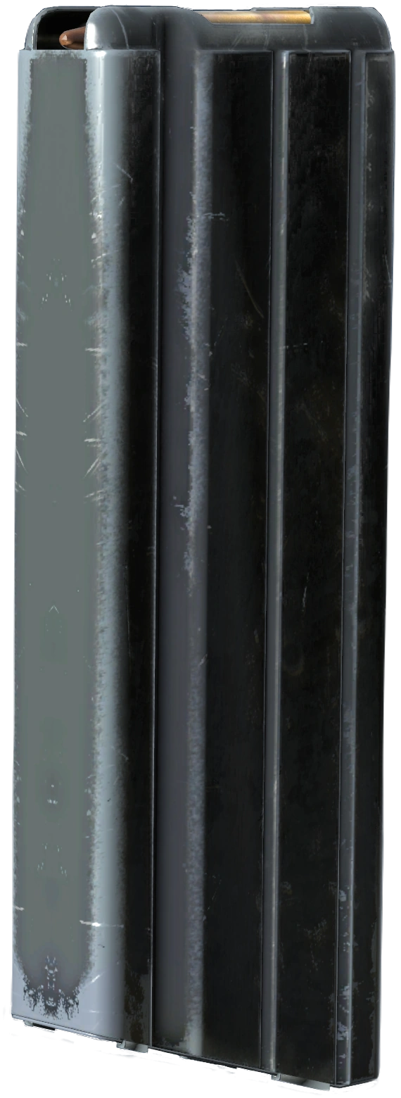 25rd LE-MAS Mag