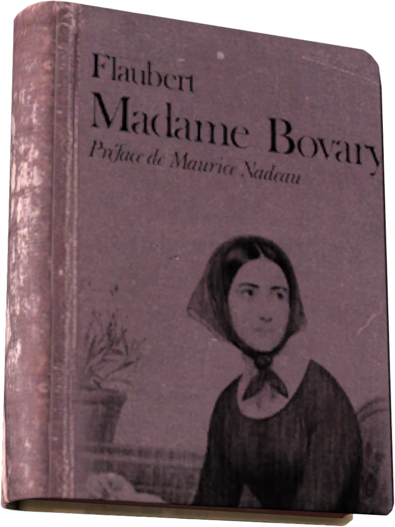 Madame Bovary DayZ Wiki