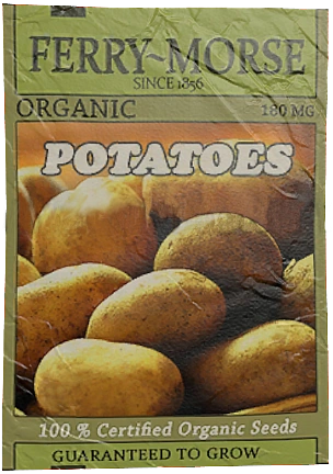 Potato Seeds