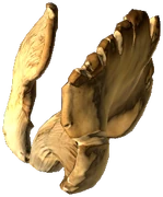Oyster Mushroom (Raw)