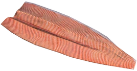 SteelheadTroutFilletMeat