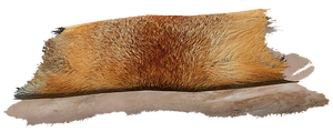 FoxPelt