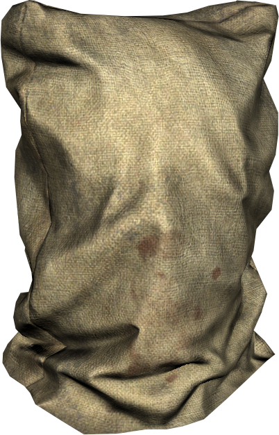 Burlap Sack - DayZ Wiki