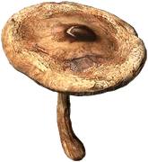 Parasol Mushroom (Baked)