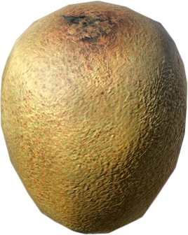 Fresh Kiwi