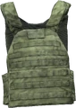 Plate Carrier (Green) (Livonia & Sakhal only)