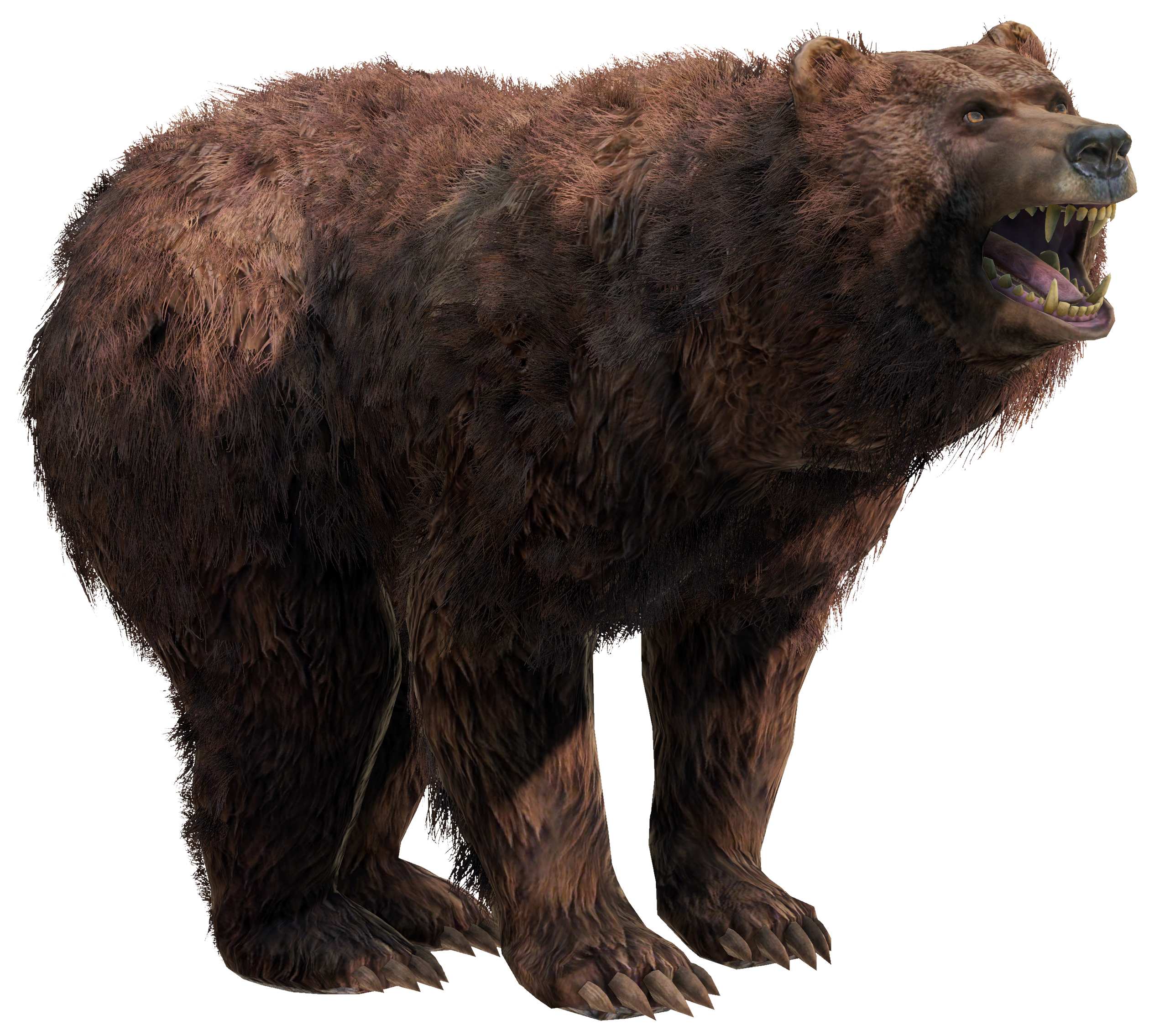 Bear, Days Gone Wiki