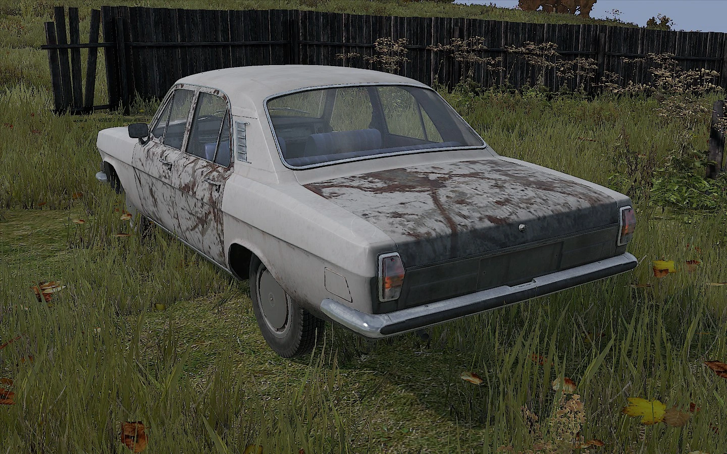 Rear
