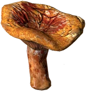 Red Pine Mushroom (Baked)