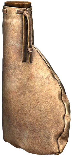 Leather Bottle