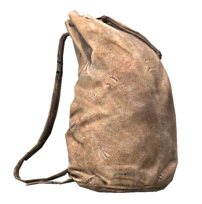 Leather Backpack
