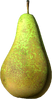 Pear.png