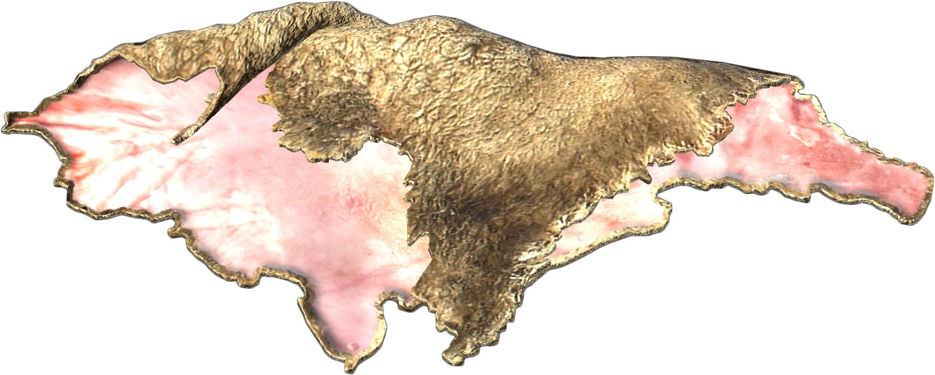 Sheep Pelt