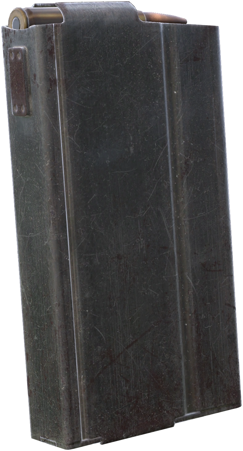 20rd DMR Mag