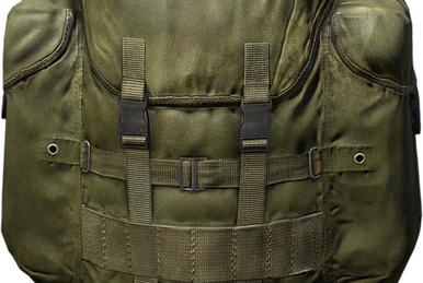 Dayz molle us assault pack top