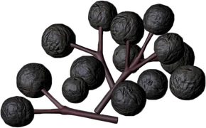 Dried
