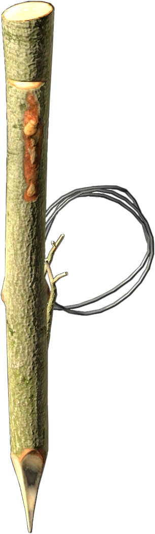 Snare Trap