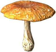 Fly Amanita (Dried)