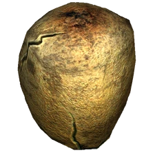 Rotten