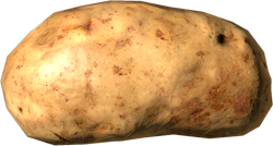 potato⋆︎* Potato - DayZ Wiki