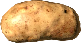 Potato