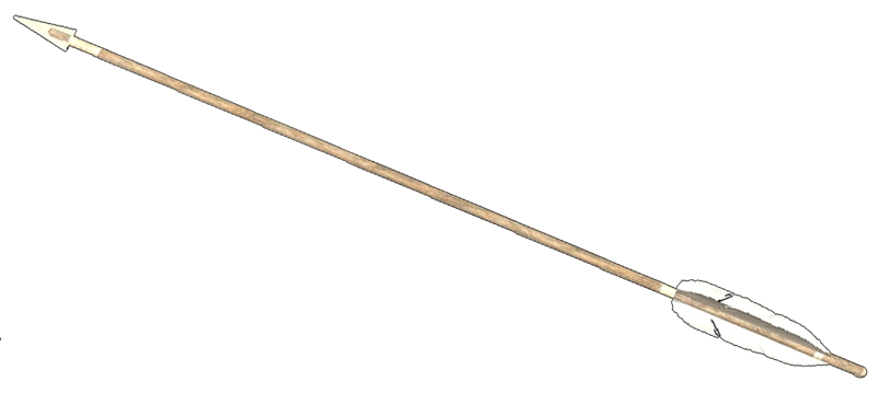 Bone Arrow