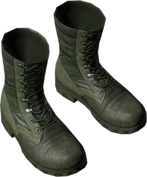 Combat boots wiki cheap