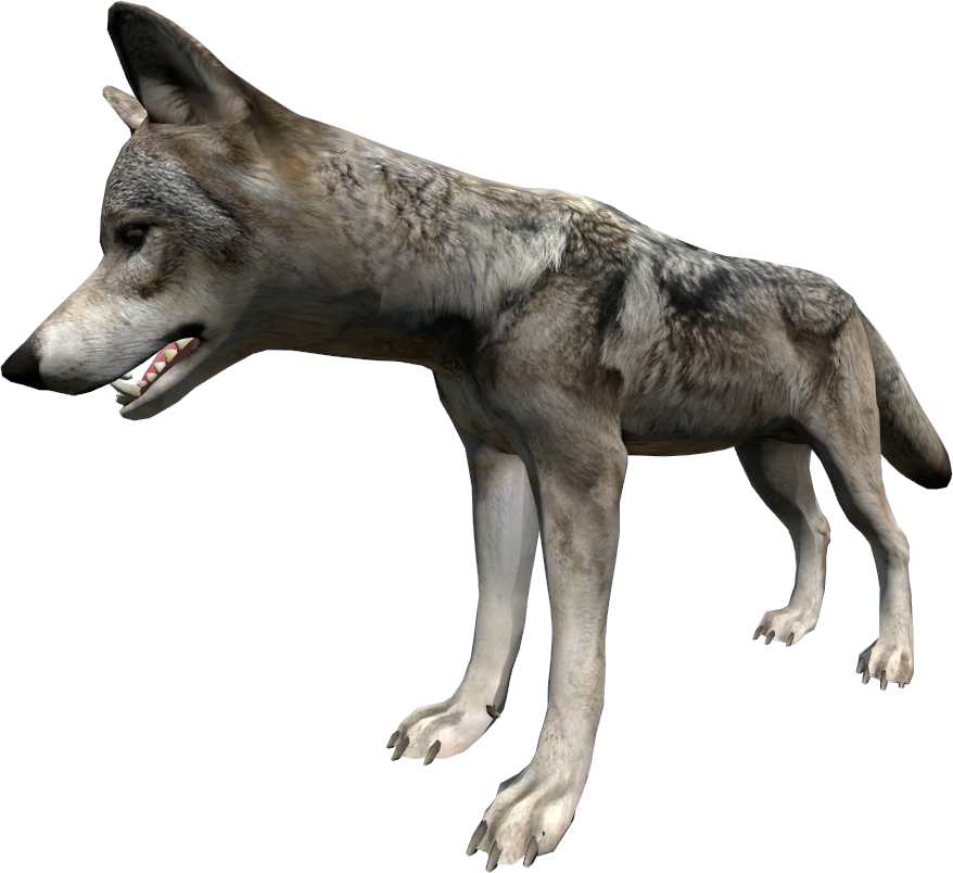 Wolf - DayZ Wiki