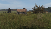 Dayz water bull