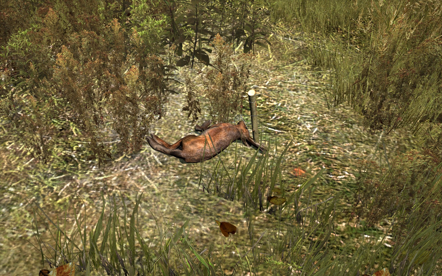 Wildlife - DayZ Wiki