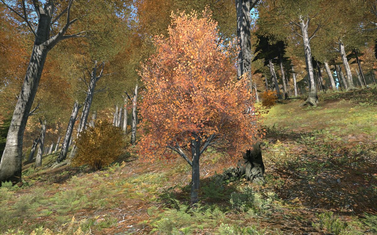 Vegetation DayZ Wiki