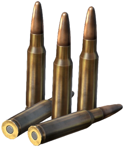.308 WIN Rounds
