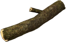 Firewood