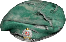 Damaged New Zealand Military Beret