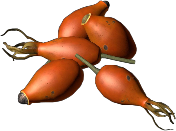 Rose Hips