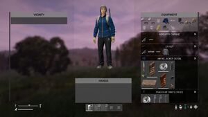 Ingame inventory