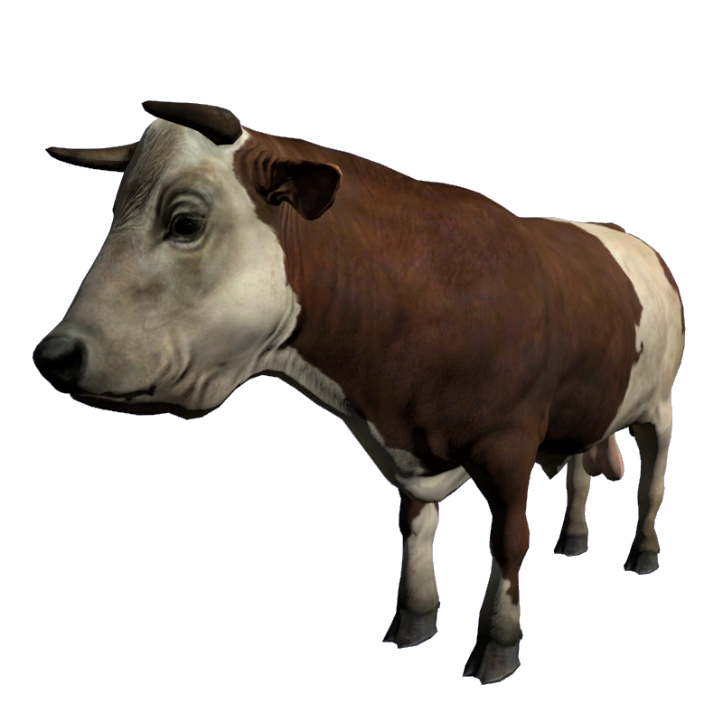 Bull