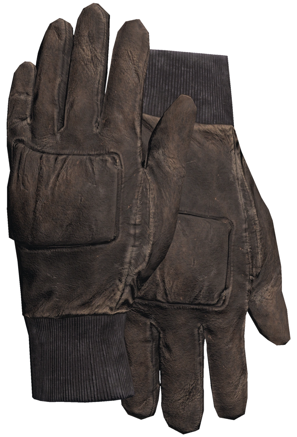 Padded Gloves