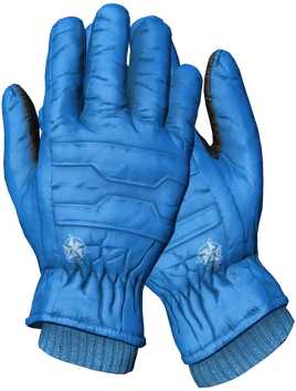 SkiGloves Blue