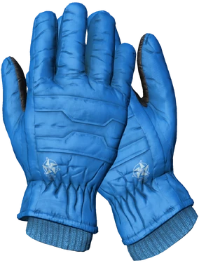 Ski Gloves (Blue)