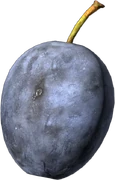 Plum (Raw)
