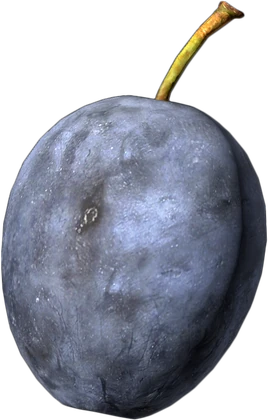 Plum