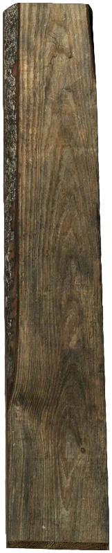 Plank