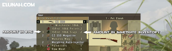 Some DayZ controls DayZ survive the Apocalypse