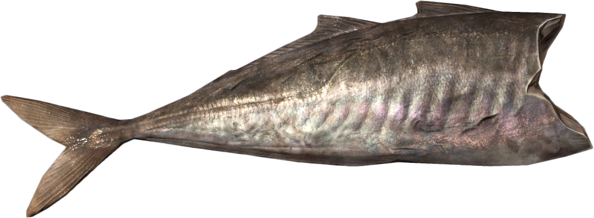 Mackerel Fillet <br> ('''Dried''')