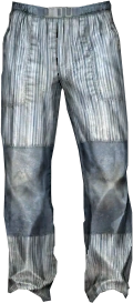 Hiking Pants