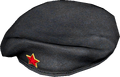 A Beret with a Red Star on it, likely worn by officers and high-ranking officials of the movement.